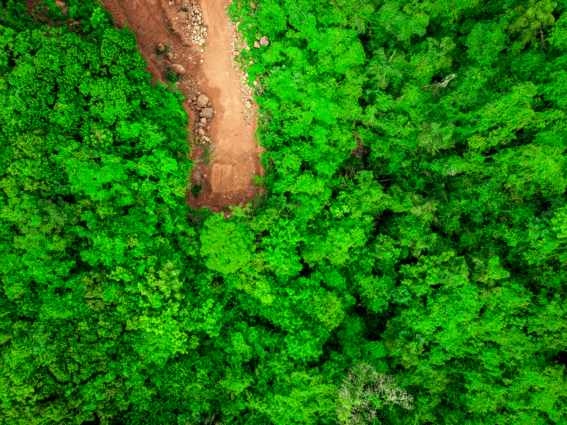 sustainability